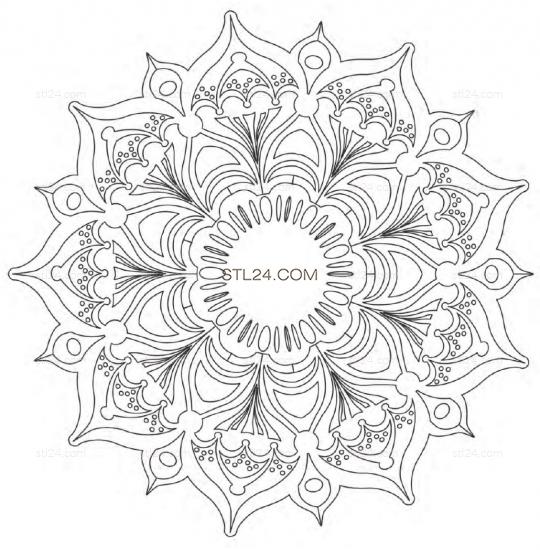 ROSETTE_0249